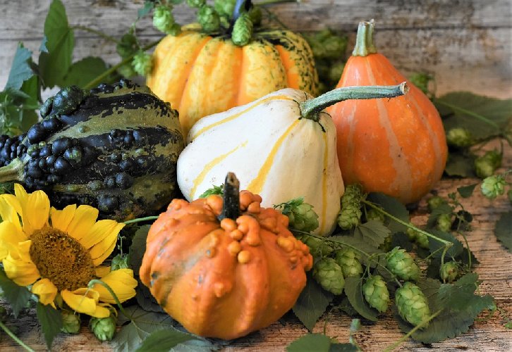 https://www.ragusanews.com/immagini_articoli/01-10-2019/dieta-per-l-autunno-500.jpg