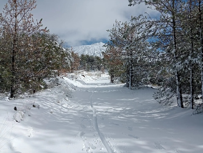 https://www.ragusanews.com/immagini_articoli/02-12-2024/cade-la-neve-sull-etna-e-sulle-madonie-500.jpg