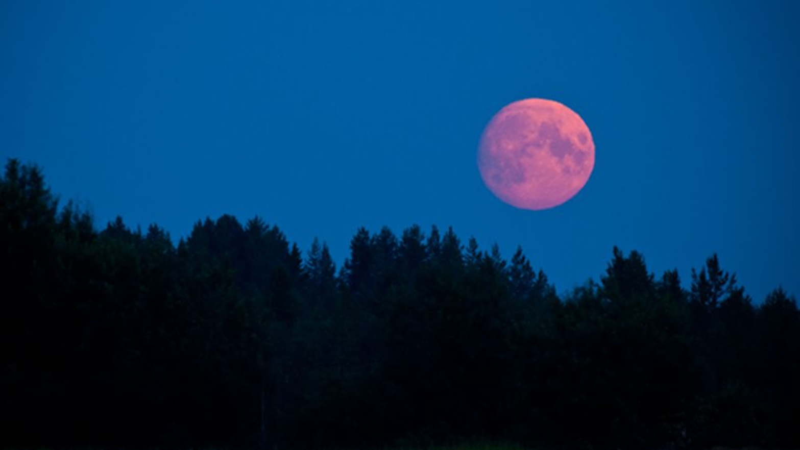 La Luna Rossa di aprile 2024