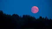https://www.ragusanews.com/immagini_articoli/04-04-2024/la-luna-rossa-di-aprile-2024-100.jpg