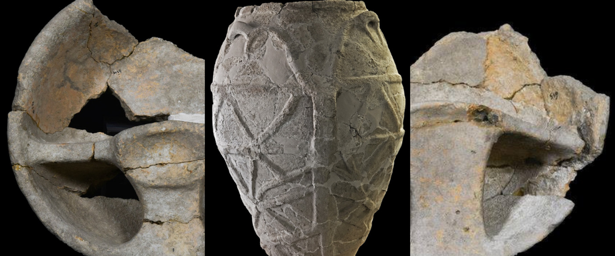https://www.ragusanews.com/immagini_articoli/04-08-2019/archeologia-a-noto-un-olio-d-oliva-di-4000-anni-fa-500.png