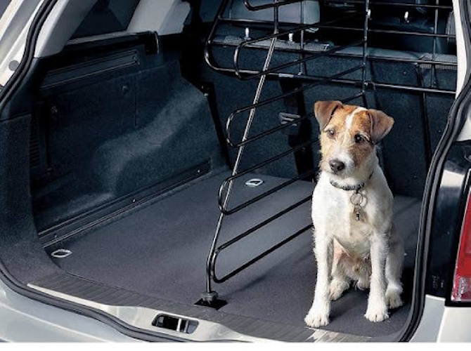 https://www.ragusanews.com/immagini_articoli/04-09-2024/lascia-il-cane-nel-bagagliaio-dell-auto-durante-la-traversata-milazzo-vulca-500.jpg