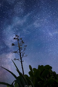 https://www.ragusanews.com/immagini_articoli/04-11-2024/astrofotografia-marina-di-modica-cometa-e-via-lattea-300.jpg