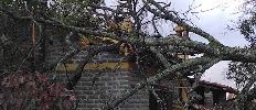 https://www.ragusanews.com/immagini_articoli/06-01-2024/maltempo-a-modcia-un-albero-cade-su-una-casa-di-modica-alta-100.jpg