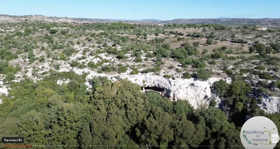 https://www.ragusanews.com/immagini_articoli/06-10-2024/escursione-al-cenobio-di-san-marco-a-cava-petrusino-video-300.jpg