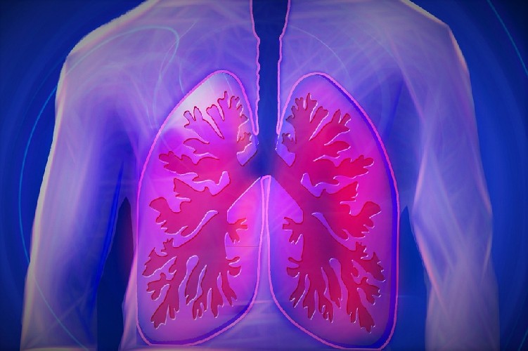 https://www.ragusanews.com/immagini_articoli/07-09-2020/polmoni-in-salute-ecco-cosa-mangiare-500.jpg