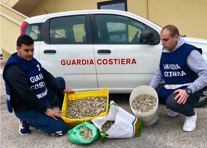 https://www.ragusanews.com/immagini_articoli/08-05-2024/sequestrati-100-chili-di-vongole-senza-etichettatura-500.jpg