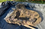 https://www.ragusanews.com/immagini_articoli/09-02-2024/archeologia-recuperato-altorilievo-nei-fondali-marini-di-agrigento-100.jpg