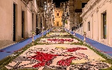 https://www.ragusanews.com/immagini_articoli/09-02-2025/infiorata-di-noto-scelto-il-tema-2025-la-pace-si-fa-arte-100.jpg