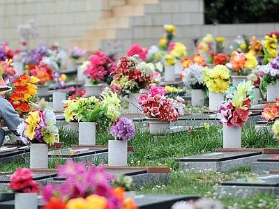 Al Cimitero Si Rubano I Fiori Dei Morti E Se Li Rivendono