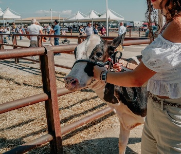 https://www.ragusanews.com/immagini_articoli/12-09-2024/ragusa-la-fiera-agricola-concomitante-col-g7-agricoltura-la-gaffe-300.jpg