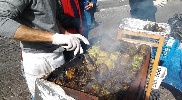 https://www.ragusanews.com/immagini_articoli/13-01-2025/i-venditori-abusivi-di-telline-e-di-carciofi-cucinati-in-strada-100.jpg