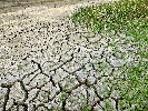 https://www.ragusanews.com/immagini_articoli/13-03-2023/la-desertificazione-una-sfida-ambientale-del-nostro-tempo-100.jpg
