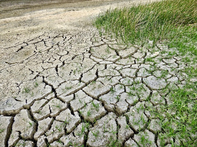 https://www.ragusanews.com/immagini_articoli/13-03-2023/la-desertificazione-una-sfida-ambientale-del-nostro-tempo-500.jpg