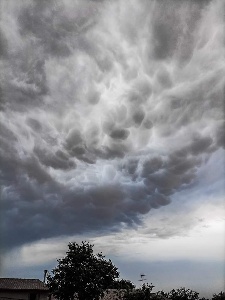 https://www.ragusanews.com/immagini_articoli/13-06-2024/1718262717-le-nuvole-mammatus-a-ragusa-foto-1-300.jpg