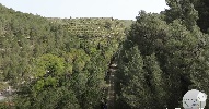 https://www.ragusanews.com/immagini_articoli/15-04-2024/escursione-lungo-la-ferrovia-di-ciccio-pecora-video-100.jpg