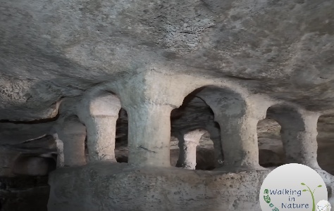 https://www.ragusanews.com/immagini_articoli/18-10-2024/grotte-ragusane-dalla-grotta-delle-trabacche-alla-catacomba-di-cisternazzi-300.jpg