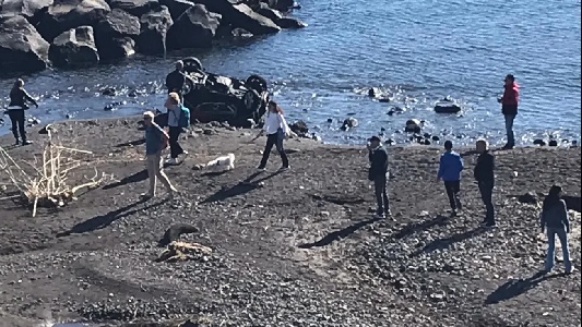 https://www.ragusanews.com/immagini_articoli/18-11-2024/torre-archirafi-dopo-l-alluvione-i-turisti-del-disastro-fanno-selfie-con-le-auto-in-mare-300.jpg