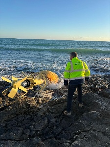 https://www.ragusanews.com/immagini_articoli/20-01-2025/una-boa-luminosa-e-spiaggiata-nel-mare-di-sampieri-dopo-la-violenta-mareggiata-dei-giorni-scorsi-300.jpg