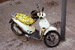 https://www.ragusanews.com/immagini_articoli/23-01-2024/rosolinese-il-ladro-di-piaggio-liberty-a-pozzallo-100.jpg