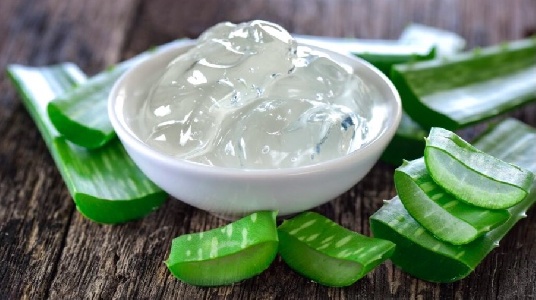 https://www.ragusanews.com/immagini_articoli/23-06-2023/1687529436-aloe-vera-i-benefici-1-300.jpg