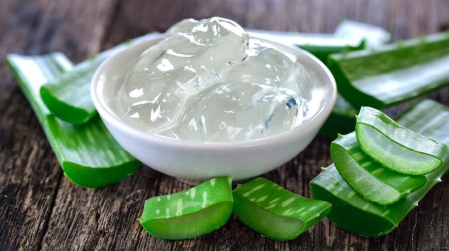 https://www.ragusanews.com/immagini_articoli/23-06-2023/1687529436-aloe-vera-i-benefici-1-500.jpg