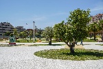 https://www.ragusanews.com/immagini_articoli/24-05-2024/ragusa-inaugurato-il-giardino-dell-ex-scalo-merci-100.jpg
