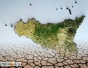 https://www.ragusanews.com/immagini_articoli/25-02-2024/piove-in-sicilia-dove-la-paura-e-la-desertificazione-100.jpg