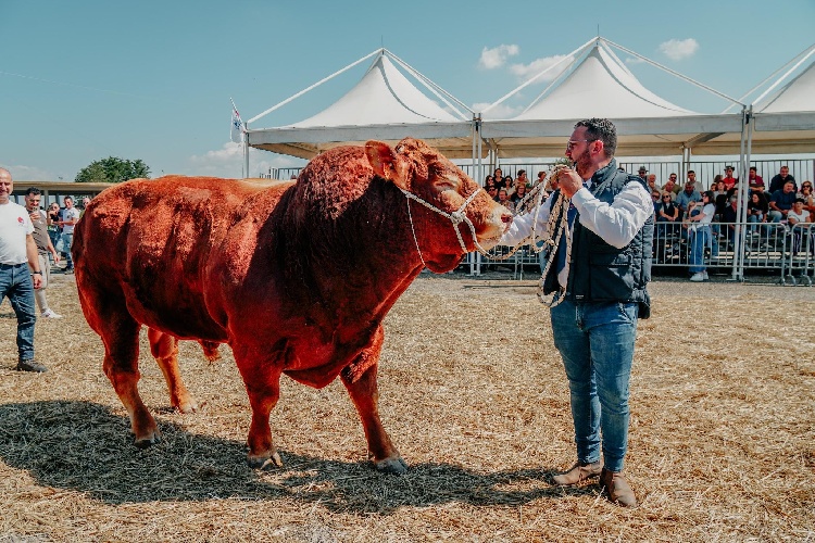 https://www.ragusanews.com/immagini_articoli/26-09-2024/l-assessore-all-agricoltura-barbagallo-inaugura-la-fiera-agroalimentare-500.jpg