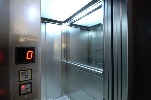 https://www.ragusanews.com/immagini_articoli/26-11-2023/cane-muore-con-la-testa-bloccata-nell-ascensore-100.jpg