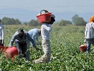 https://www.ragusanews.com/immagini_articoli/27-02-2025/caporalato-denunciati-due-imprenditori-a-vittoria-uno-vittoriese-uno-tunisino-100.jpg