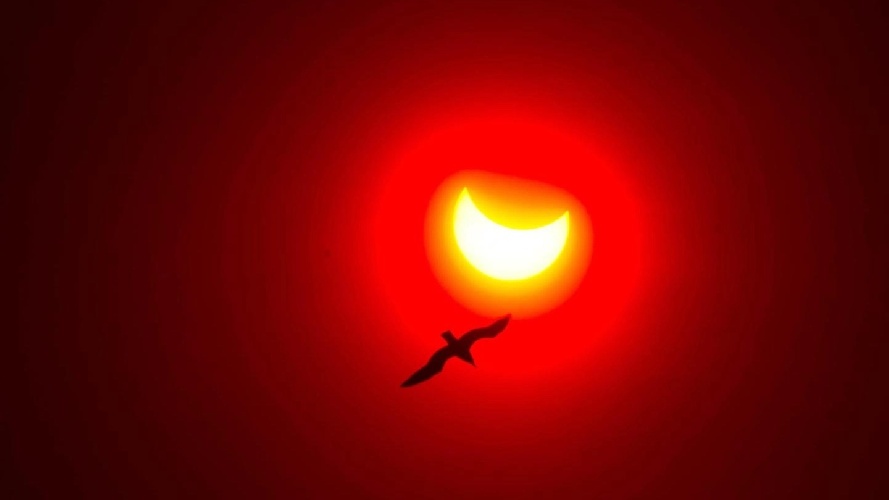 https://www.ragusanews.com/immagini_articoli/27-03-2024/tutte-le-eclissi-di-sole-e-di-luna-del-2024-500.jpg