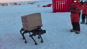 https://www.ragusanews.com/immagini_articoli/28-01-2025/ecco-il-cane-robot-in-grado-di-camminare-sulla-neve-e-trasportare-pacchi-100.jpg