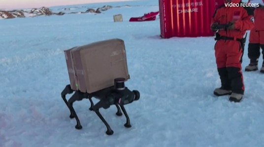 https://www.ragusanews.com/immagini_articoli/28-01-2025/ecco-il-cane-robot-in-grado-di-camminare-sulla-neve-e-trasportare-pacchi-300.jpg