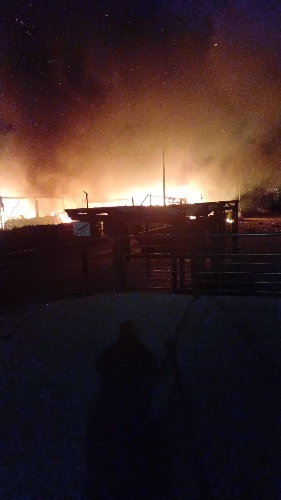 https://www.ragusanews.com/immagini_articoli/29-01-2024/un-incendio-ha-distrutto-il-lido-sud-a-marina-di-modica-500.jpg