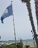 https://www.ragusanews.com/immagini_articoli/30-06-2024/la-bandiera-blu-sventola-su-sampieri-avere-cura-del-creato-100.jpg