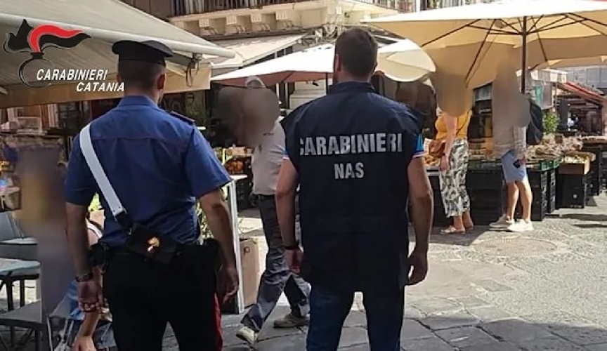 https://www.ragusanews.com/immagini_articoli/30-09-2024/il-kebab-senza-tracciamento-alimentare-in-via-etnea-500.jpg