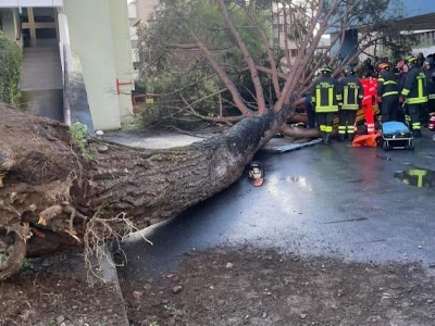 https://www.ragusanews.com/immagini_articoli/30-11-2024/albero-si-schianta-nel-campus-universita-5-feriti-3-sono-gravi-uno-studente-al-primo-giorno-300.jpg